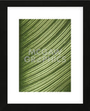Cannis Veins  (Framed) -  Jenny Kraft - McGaw Graphics
