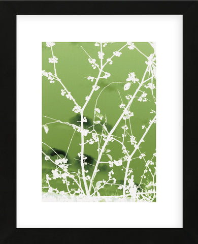 Autumn Branch (green)  (Framed) -  Jenny Kraft - McGaw Graphics