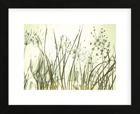 Watery Grasses 3  (Framed) -  Jenny Kraft - McGaw Graphics