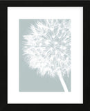 Dandelion Crop (blue)  (Framed) -  Jenny Kraft - McGaw Graphics