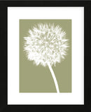 Dandelion (khaki)  (Framed) -  Jenny Kraft - McGaw Graphics