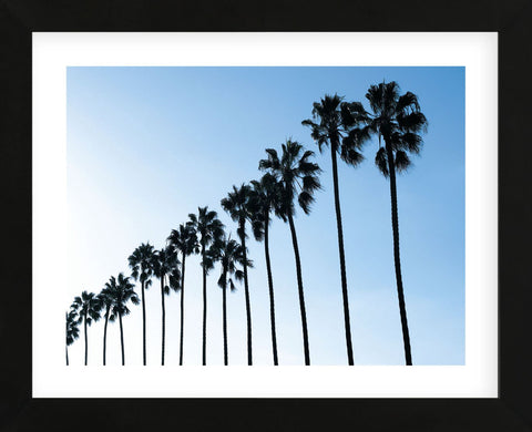 La Jolla Palms  (Framed) -  Jenny Kraft - McGaw Graphics