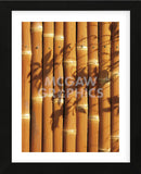 Teahouse Gate 2  (Framed) -  Jenny Kraft - McGaw Graphics