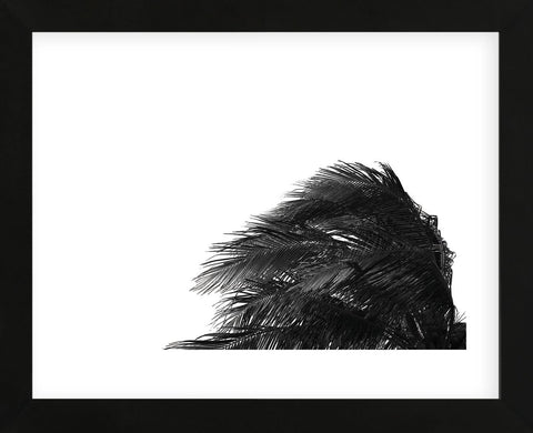 Palms 1  (Framed) -  Jamie Kingham - McGaw Graphics
