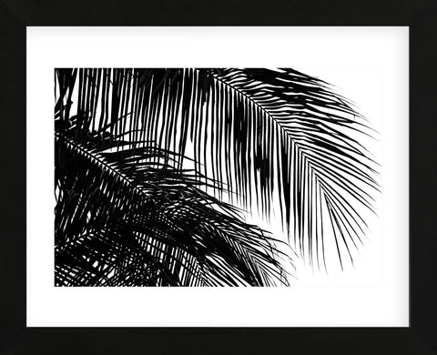 Palms 3  (Framed) -  Jamie Kingham - McGaw Graphics