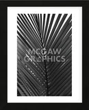 Palms 9  (Framed) -  Jamie Kingham - McGaw Graphics