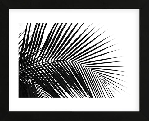 Palms 10  (Framed) -  Jamie Kingham - McGaw Graphics