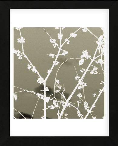 Autumn Branch (tan) (square crop)  (Framed) -  Jenny Kraft - McGaw Graphics