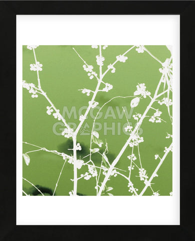 Autumn Branch (green) (square crop)  (Framed) -  Jenny Kraft - McGaw Graphics