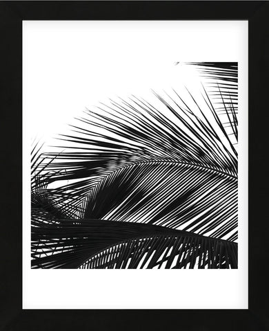 Palms 13 (detail)  (Framed) -  Jamie Kingham - McGaw Graphics