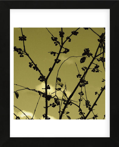 Autumn Branch (sepia) (detail)  (Framed) -  Jenny Kraft - McGaw Graphics