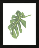 Philodendron 3  (Framed) -  Jenny Kraft - McGaw Graphics