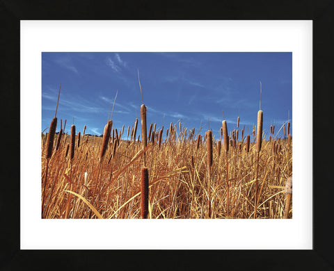 Hot Dog Reeds (Framed) -  Bob Larson - McGaw Graphics