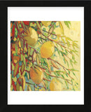 Four Lemons (Framed) -  Jennifer Lommers - McGaw Graphics