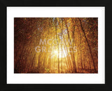 Finding Fall (Framed) -  Bob Larson - McGaw Graphics