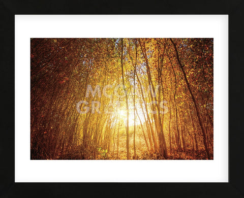 Finding Fall (Framed) -  Bob Larson - McGaw Graphics