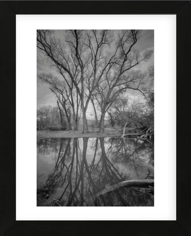 Over Reach (Framed) -  Bob Larson - McGaw Graphics