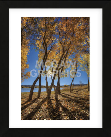 Skinny Fall (Framed) -  Bob Larson - McGaw Graphics