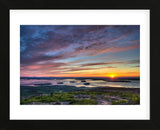 Acadia Sunrise (Framed) -  Robert Lott - McGaw Graphics