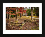 Smokies Cabin (Framed) -  Robert Lott - McGaw Graphics