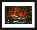 Fall in Smokies (Framed) -  Robert Lott - McGaw Graphics