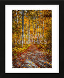 Ohiopyle Path (Framed) -  Robert Lott - McGaw Graphics