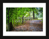 Laurels Pathway (Framed) -  Robert Lott - McGaw Graphics