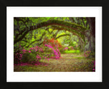 Magnolia Gardens (Framed) -  Robert Lott - McGaw Graphics