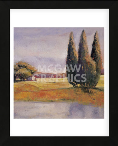 Sunset Cypress   (Framed) -  Adina Langford - McGaw Graphics