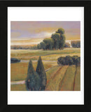 Summer Cypress   (Framed) -  Adina Langford - McGaw Graphics