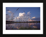 Midsummer Reflections  (Framed) -  Phillip Mueller - McGaw Graphics