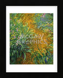 The Path in the Iris Garden (Framed) -  Claude Monet - McGaw Graphics