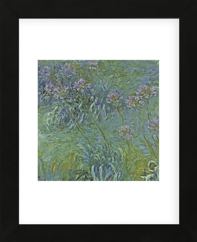 Jewelry lilies (Framed) -  Claude Monet - McGaw Graphics