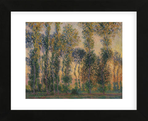 Poplars at Giverny, Sunrise, 1888 (Framed) -  Claude Monet - McGaw Graphics