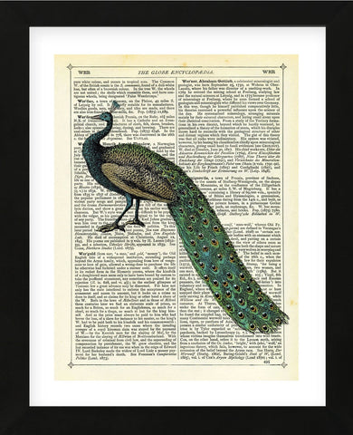 Roaming Peacock (Framed) -  Marion McConaghie - McGaw Graphics