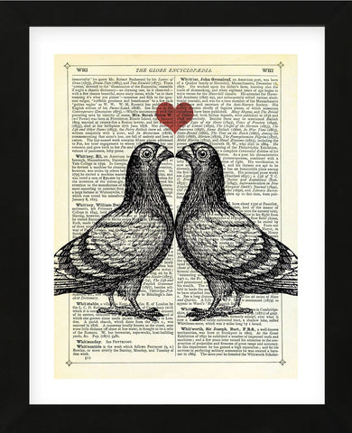 Pigeons in Love (Framed) -  Marion McConaghie - McGaw Graphics