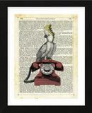 Cocatoo on Telephone (Framed) -  Marion McConaghie - McGaw Graphics