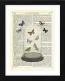 Butterfly Dome (Framed) -  Marion McConaghie - McGaw Graphics