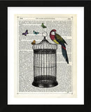 Bird Cage and Parrot (Framed) -  Marion McConaghie - McGaw Graphics