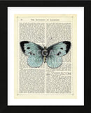 Blue Butterfly (Framed) -  Marion McConaghie - McGaw Graphics