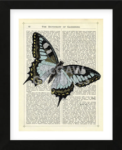 Angled Butterfly (Framed) -  Marion McConaghie - McGaw Graphics