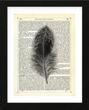 Feather (Framed) -  Marion McConaghie - McGaw Graphics