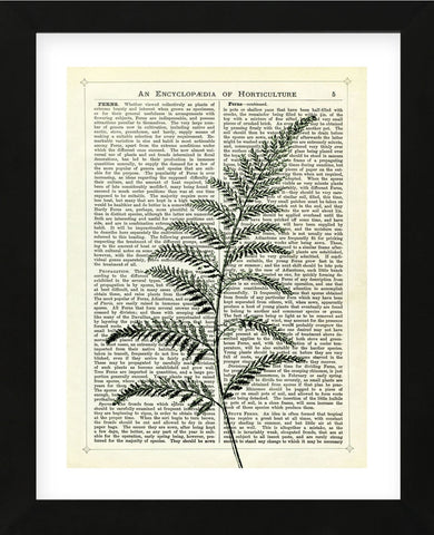 Fern 2 (Framed) -  Marion McConaghie - McGaw Graphics