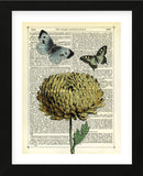 Flower & Butterflies (Framed) -  Marion McConaghie - McGaw Graphics
