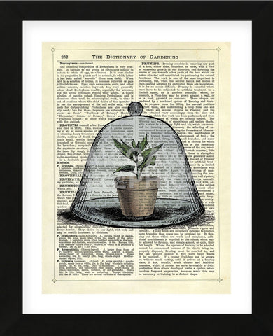 Plant Pot in Glass Cloche (Framed) -  Marion McConaghie - McGaw Graphics