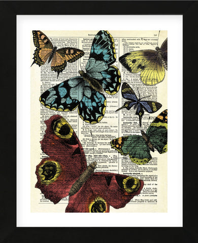 Selection of Butterflies (Framed) -  Marion McConaghie - McGaw Graphics