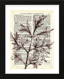 Twigs 3 (Framed) -  Marion McConaghie - McGaw Graphics