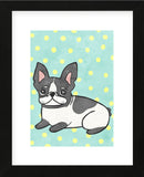 Boston Terrier (Framed) -  My Zoetrope - McGaw Graphics