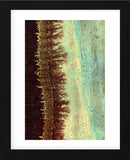 Lichen I (Framed) -  J. McKenzie - McGaw Graphics