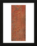 Elements (Orange) (Framed) -  J. McKenzie - McGaw Graphics